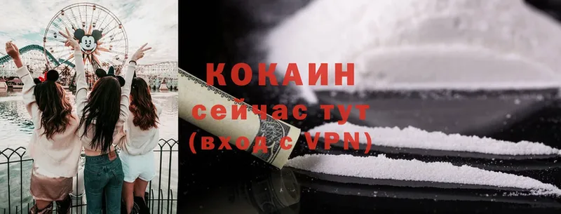 Кокаин Fish Scale  omg вход  Балахна  купить наркотик 